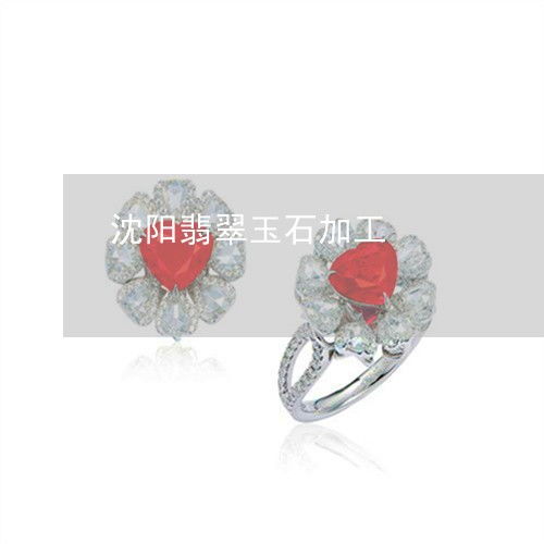 沈陽翡翠玉石加工產業(yè)與橡膠制品行業(yè)的協同發(fā)展探析